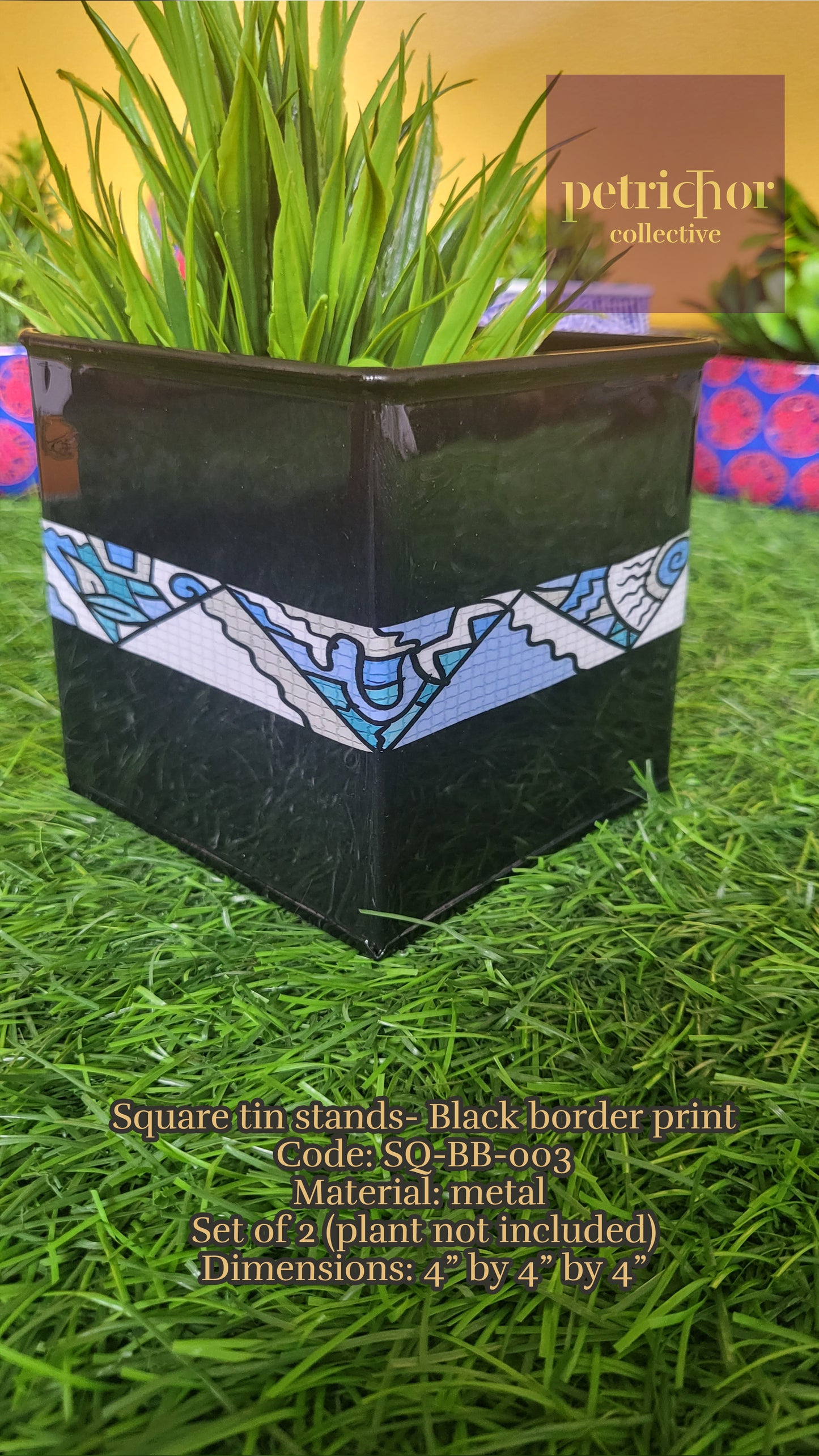 Black Border Print Square Zenscrawl Planters (Set of 2)